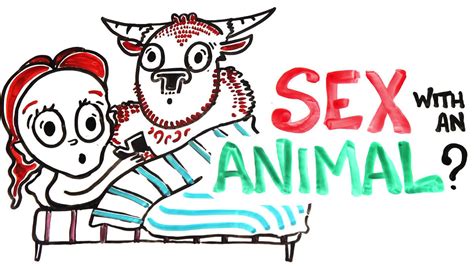 人が動物とセックスすると何が起きるのか？